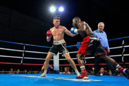Sport, Boxe