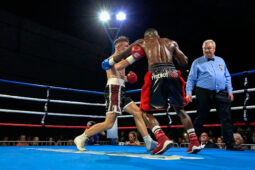 Sport, Boxe