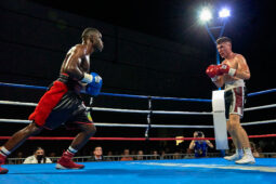 Sport, Boxe