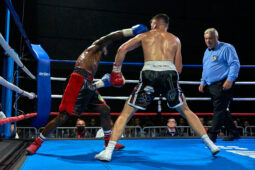 Sport, Boxe