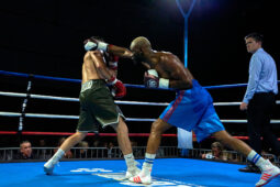 Sport, Boxe