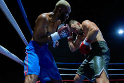 Sport, Boxe