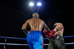 Sport, Boxe