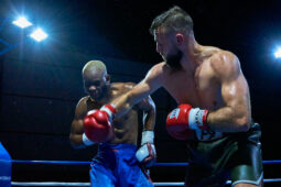 Sport, Boxe