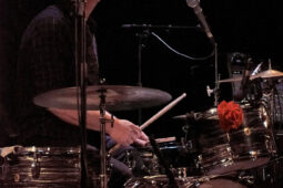 Concert, Emily Loizeau