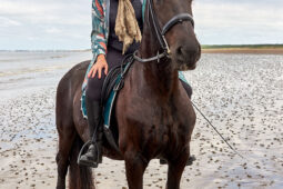 Animal, Cheval, Sport, Equitation