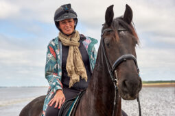 Animal, Cheval, Sport, Equitation