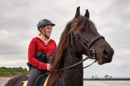 Animal, Cheval, Sport, Equitation