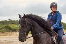 Animal, Cheval, Sport, Equitation