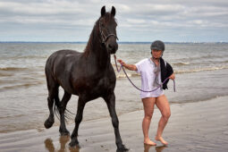 Animal, Cheval, Sport, Equitation