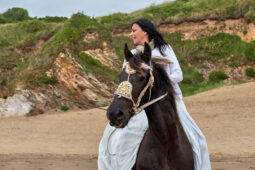 Animal, Cheval, Sport, Equitation