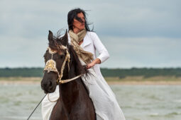 Animal, Cheval, Sport, Equitation