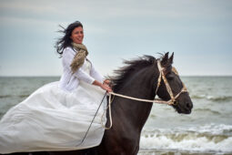 Animal, Cheval, Sport, Equitation