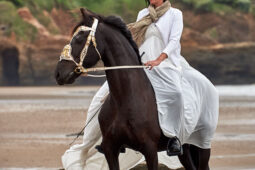 Animal, Cheval, Sport, Equitation