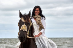 Animal, Cheval, Sport, Equitation
