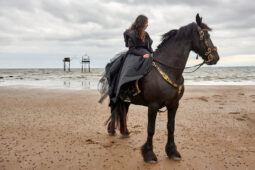 Animal, Cheval, Sport, Equitation