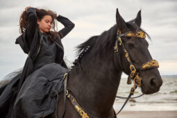 Animal, Cheval, Sport, Equitation