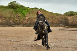 Animal, Cheval, Sport, Equitation