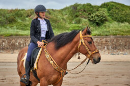 Animal, Cheval, Sport, Equitation