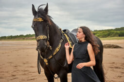 Animal, Cheval, Sport, Equitation