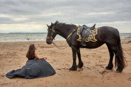 Animal, Cheval, Sport, Equitation