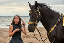 Animal, Cheval, Sport, Equitation