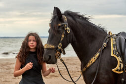 Animal, Cheval, Sport, Equitation