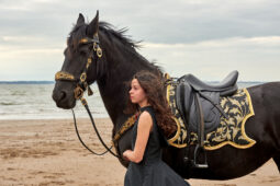 Animal, Cheval, Sport, Equitation