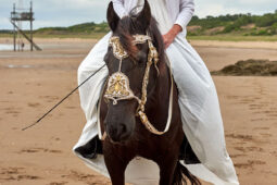 Animal, Cheval, Sport, Equitation