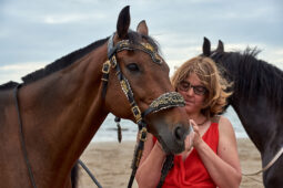 Animal, Cheval, Sport, Equitation