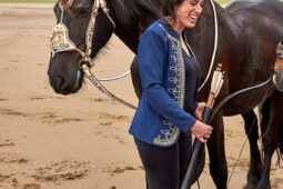 Animal, Cheval, Sport, Equitation