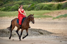 Animal, Cheval, Sport, Equitation
