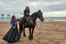 Animal, Cheval, Sport, Equitation