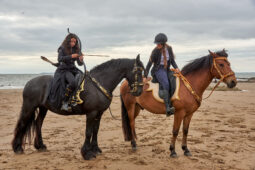 Animal, Cheval, Sport, Equitation