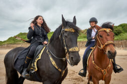Animal, Cheval, Sport, Equitation