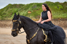 Animal, Cheval, Sport, Equitation