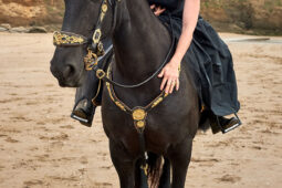 Animal, Cheval, Sport, Equitation