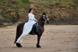 Animal, Cheval, Sport, Equitation