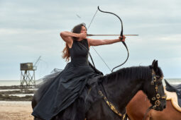 Animal, Cheval, Sport, Equitation