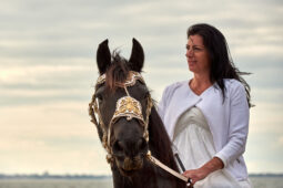 Animal, Cheval, Sport, Equitation