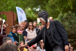 Cie Dis bonjour à la Dame, Spectacle, Public