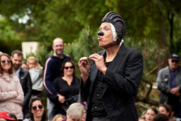 Cie Dis bonjour à la Dame, Spectacle, Public