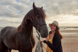 Animal, Cheval, Shooting, Sport, Equitation