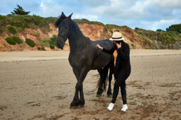 Animal, Cheval, Shooting, Sport, Equitation
