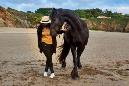 Animal, Cheval, Shooting, Sport, Equitation