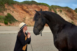 Animal, Cheval, Shooting, Sport, Equitation