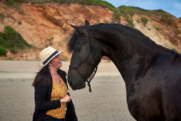 Animal, Cheval, Shooting, Sport, Equitation