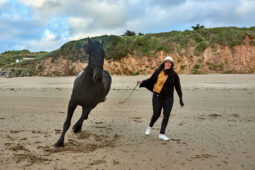 Animal, Cheval, Shooting, Sport, Equitation