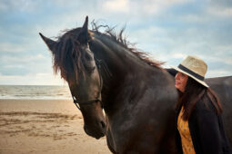 Animal, Cheval, Shooting, Sport, Equitation