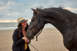 Animal, Cheval, Shooting, Sport, Equitation